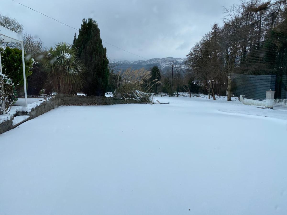 Tanglewood Stays Newry Kültér fotó